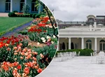 Grădina Trandafirilor de la Casa Albă, transformată complet. De la gazonul lui Kennedy la dalele lui Trump