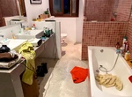 Bacterii, mucegai și accidente: ce se ascunde în dezordinea din baie