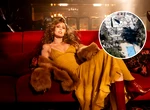 Miley Cyrus își reconstruiește casa din Malibu. Vila de lux a fost distrusă într-un incendiu în 2018