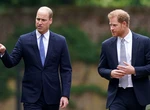 Prințul William și Prințul Harry nu vor moșteni casa mamei lor. Cine va primi casa copilăriei Prințesei Diana