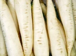 Ridichile albe de vară, leac natural pentru rinichi și ficat. De ce este bine să le consumi zilnic