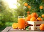Fructul care îți îmbunătățește starea de spirit. Ce spun cercetătorii despre efectele portocalei asupra creierului