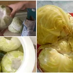 De ce se pune mărar la varza murată. Trucul gospodinelor de la țară pentru o aromă deosebită