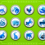 Horoscop chinezesc zilnic, 4 august, luni. Ziua începe sub semnul echilibrului emoțional. Alege cu grijă ce lupte merită duse