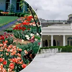 Grădina Trandafirilor de la Casa Albă, transformată complet. De la gazonul lui Kennedy la dalele lui Trump