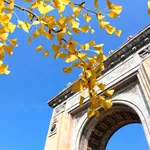 Cum să te bucuri de toamnă în București: activități și locuri de încercat în acest sezon