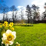 Vremea de 1 Mai. Ce ne așteaptă în minivacanță și cum va fi sfârșitul primăverii, potrivit ANM