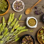 Cum te pot ajuta plantele să eviți medicamentele de zi cu zi: 6 alternative naturale pentru problemele de sănătate comune