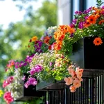 Balconul tău poate rămâne verde și în zilele toride. Află cum să-ți protejezi plantele de caniculă