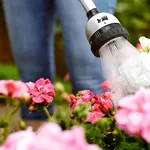 Cum să uzi corect plantele vara. Sfaturi utile pentru o grădină sănătoasă în sezonul cald