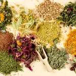 Planta naturală care întărește memoria și susține funcțiile creierului, potrivit medicilor