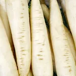 Ridichile albe de vară, leac natural pentru rinichi și ficat. De ce este bine să le consumi zilnic