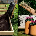 Trei proiecte simple de grădinărit pentru oricine, cu spațiu mic sau mare