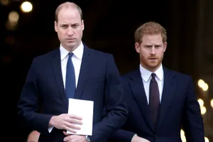 De ce prințul Harry primea porții mai mici de mâncare decât prințul William în copilărie. Motivul revoltător