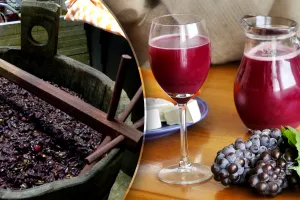 Secretul prin care să păstrezi mustul dulce peste iarnă. Așa te vei bucura de gustul proaspăt al strugurilor