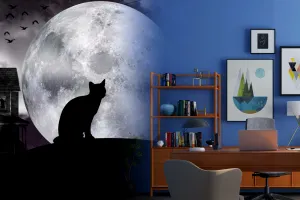 5 obiecte care aduc ghinion în casă. Scapă de ele imediat, dacă le ai în locuința ta