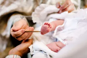Ce se pune pe tavă la tăierea moțului. Lista completă cu produsele și lucrurile folosite în mod frecvent