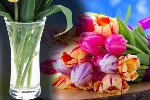 Cât pot rezista florile în vază? Trucul prin care le prelungești prospețimea