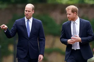 Prințul William și Prințul Harry nu vor moșteni casa mamei lor. Cine va primi casa copilăriei Prințesei Diana