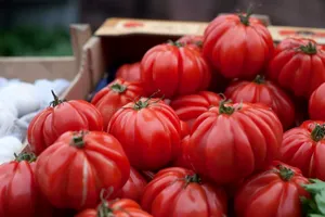 Roșii dulci și parfumate care îți răsfață gustul. Află cele mai bune soiuri și cum să le cultivi
