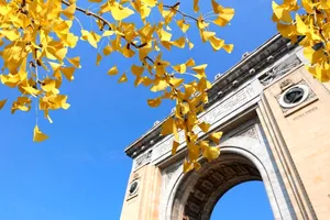 Cum să te bucuri de toamnă în București: activități și locuri de încercat în acest sezon