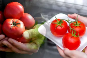 Cum se păstrează corect roșiile. Așa vor fi proaspete chiar și două săptămâni după recoltare