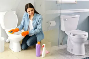 Tot mai multe gospodine pun acest amestec minune în vasul de toaletă. Efect uluitor