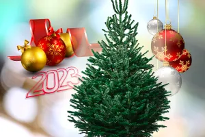 Cum decorăm bradul de Crăciun în 2023. Ce culori sunt la modă anul acesta