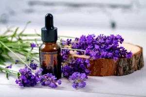 Uleiul esențial de lavandă, aliatul natural al organismului. De ce merită să-l folosești și tu