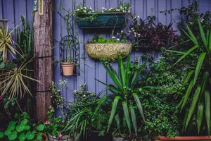 Obiecte care atrag norocul în grădina ta, potrivit Feng Shui
