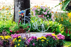 Plante care înfloresc tot anul. Vei avea mereu grădina plină de flori