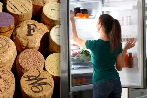 De ce să pui un dop de plută în frigider. Trucul surprinzător de mare ajutor