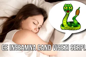 Ce înseamnă când visezi șerpi. Mesajul nebănuit pe care îl are visul