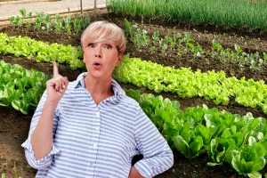 Ce să presari în grădină pentru a scăpa de buruieni. Ingredientele banale care fac minuni