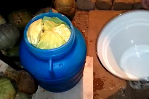 Ce trebuie să faci cu butoiul înainte de a așeza varza murată. Trucul pentru o aromă cu totul și cu totul deosebită