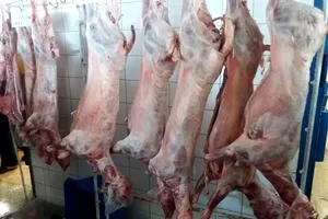 Cât costă carnea de miel, în 2023, de Paște. Suma pe care românii vor fi nevoiți să o scoată din buzunare