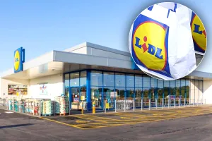 De unde provin de fapt iaurturile Pilos de la Lidl. Puțini români știu asta