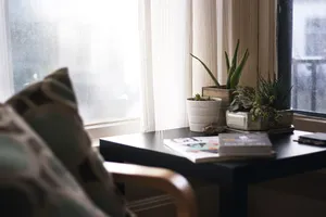 Plante care aduc noroc. Ce e bine să ții în apartamentul tău, atrag banii și prosperitatea