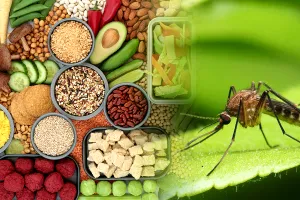 Alimentele pe care tânțarii le detestă. Ce să consumi ca să nu te mai piște niciodată