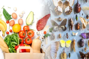Alimentul banal care alungă insectele din casă. Metoda virală