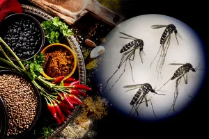 Amestecul puternic care te scapă de țânțari. Ingredientele se găsesc în orice gospodărie, trucul rezolvă o mare problemă