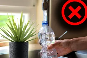 Nu mai uda florile cu apă de la robinet. Semnele de pe plante care îți arată că faci o mare greșeală