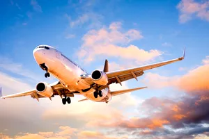 Ce mai vinde ANAF. Avionul care a aparținut companiei omului de afaceri Ovidiu Tender, scos la licitație