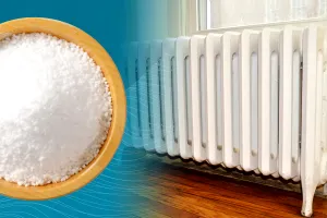 A lăsat un bol cu sare sub calorifer și a scăpat de o mare problemă a casei. Trucul care nu trebuie să-ți scape