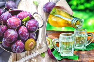 Cât se lasă prunele la fermentat pentru țuică. Pontul gospodarilor de la țară ca să aibă gust bun