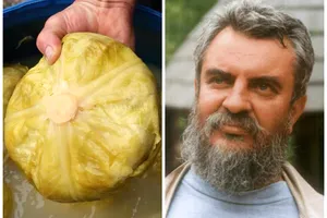 Ce să pui pe fundul butoiului de varză murată pentru un gust delicios. Secretul lui Radu Anton Roman ca zeama să nu se tulbere