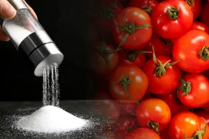 Puține gospodine au auzit de trucul ăsta. De ce să pui mereu sare peste roșii înainte de a le găti. Marii bucătari l-au dezvăluit