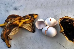 Ce trebuie neapărat să adaugi în ghiveci dacă florile s-au ofilit. Remediul banal care le face să-și revină pe loc