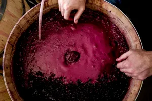 Cum poți opri vinul din fermentat. Trucul special pentru o aromă intensă