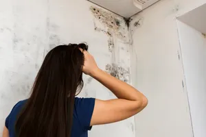 Metoda nebănuită care te scapă definitiv de mucegaiul din baie. La aceste două ingrediente nu te-ai fi gândit niciodată